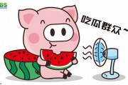 娱乐吃瓜酱补习英语,开启英语学习新篇章
